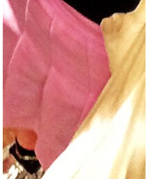 no brand | スカート