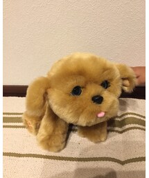 ぺろちゃん | おもちゃ