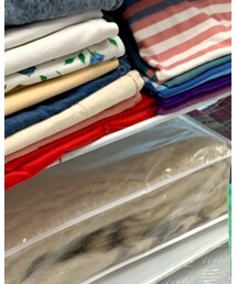 可/不可 | その他