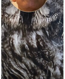 フクロウ の庭 | その他