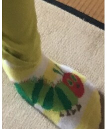 はらぺこあおむし | ソックス/靴下