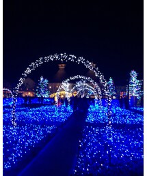 いや、フツーに綺麗やわ🎄 | その他