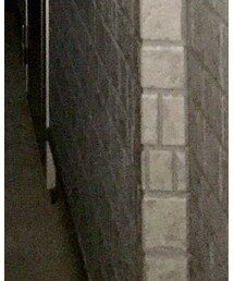 Jieda | デニムパンツ