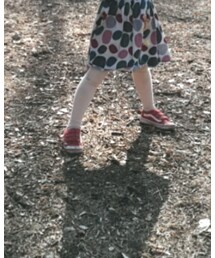 VANS | スニーカー