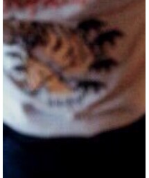 AS KNOW AS plus | Tシャツ/カットソー