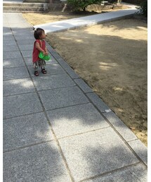 もうセミいない☹ | その他