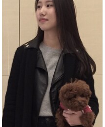 UNIQLO | ニット/セーター