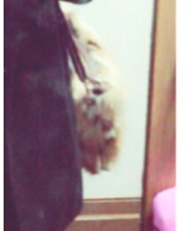 AZUL by moussy | クラッチバッグ