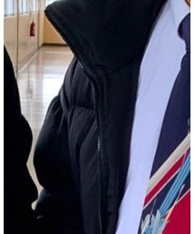 SCENERITY | ダウンベスト