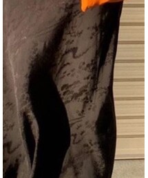 ZARA | ワンピース/ドレス