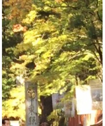 日光東照宮 | その他