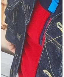 patagonia | その他アウター