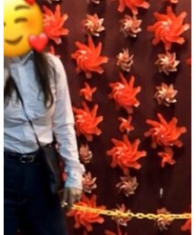 RALPH LAUREN | シャツ/ブラウス