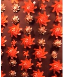 UNIQLO | デニムパンツ