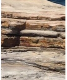 G-SHOCK | アナログ腕時計