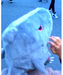 JAWS | ニットキャップ/ビーニー