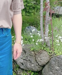 Daniel Wellington | 腕時計