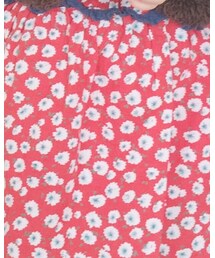 Birthday | ワンピース