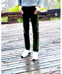 CERRUTI | チノパンツ