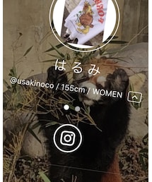 インスタフォロー泣いて喜びます❤🥺 | おもちゃ