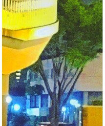 SANTA CRUZ | おもちゃ