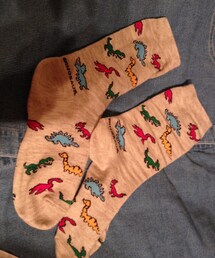 tutuanna | 恐竜靴下(ソックス/靴下)