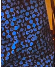 LOUIS VUITTON | トップス