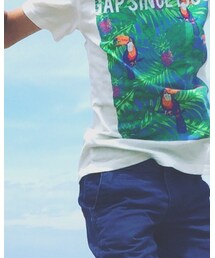 GAP | Tシャツ/カットソー