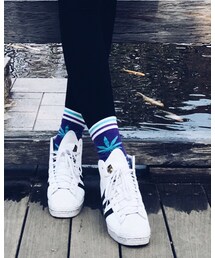no brand | ソックス/靴下