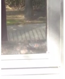 no brand | スカート