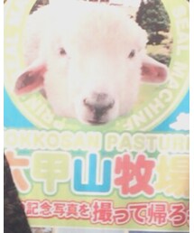 六甲山牧場 | その他