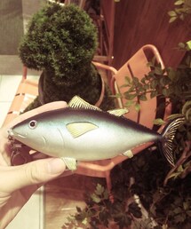 fish | その他