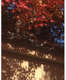 OVERRIDE | ハンチング/ベレー帽