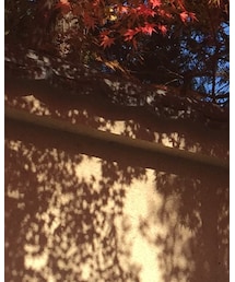 CANADA GOOSE | ダウンジャケット/コート