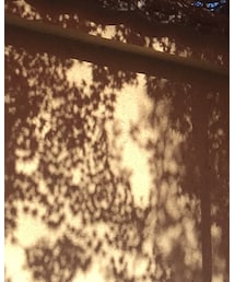 XELOLINE | パーカー