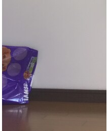 犬のご飯、、、 | その他