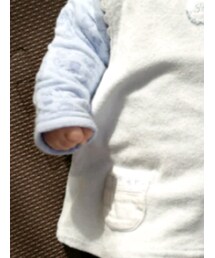 BeBe | ワンピース