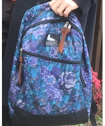 GREGORY | バックパック/リュック