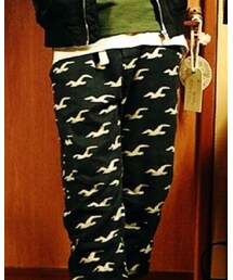 Hollister | その他パンツ