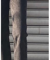 ZARA | デニムパンツ