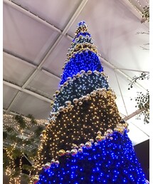 クリスマスツリー | 木更津アウトレットのクリスマスツリー🎄(その他)