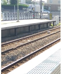 ZARA | Tシャツ/カットソー