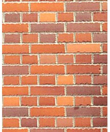 American Eagle | デニムパンツ