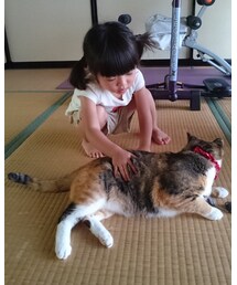猫とたわむれる♫ | その他