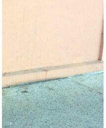 UNIQLO | スカート