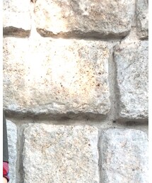 Vivienne Westwood | ジャケット/アウター