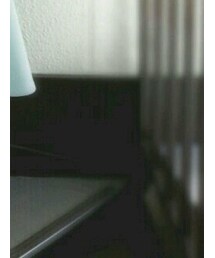 calzedonia | ソックス/靴下