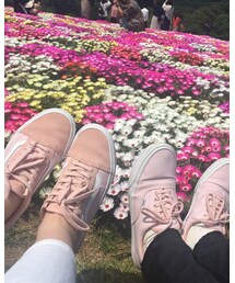 VANS | スニーカー