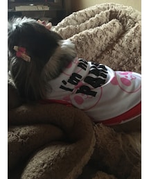 im not panda(Tシャツ/カットソー)