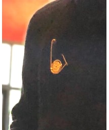 LOEWE | ブローチ/コサージュ